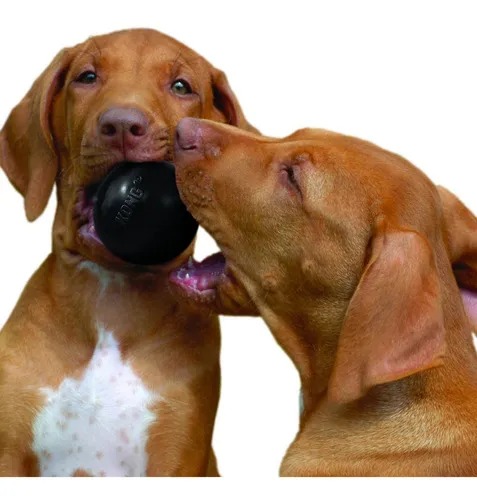 Juguete Pelota Extreme Rellenable Medium/large Kong Perros