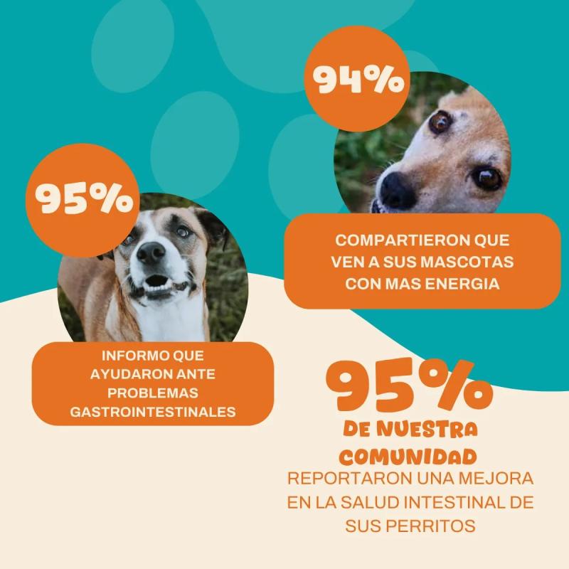 Probioticos Suplemento Perros Aditivo Natural Digestivo 240g