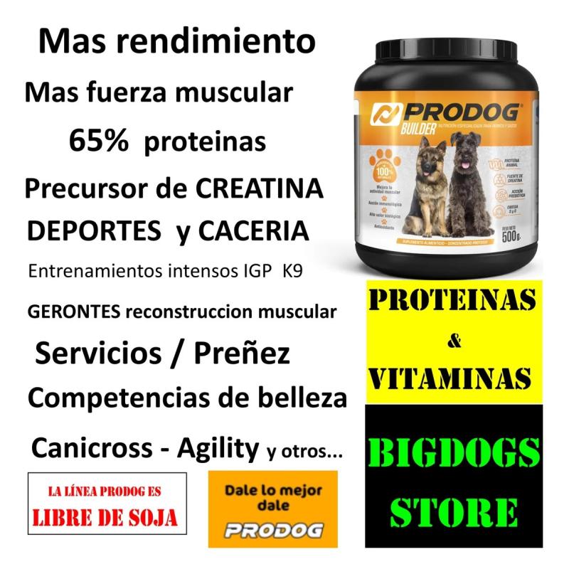 Sumplemento Proteina Prodog Builder 500gr Para Perros