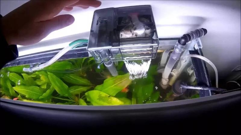 Filtro Cascada Mecanico Aquaclear 50 Pecera 190lt Acuario