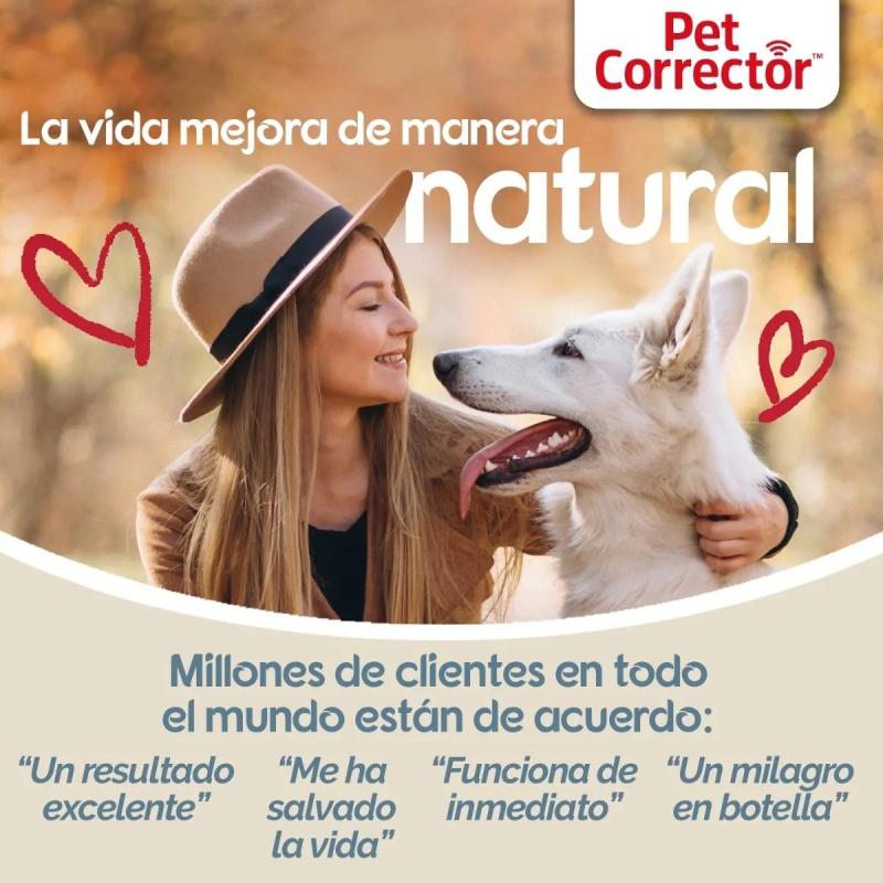 Aerosol Adiestramiento Sonido Gas Pet Corrector 50ml Perros