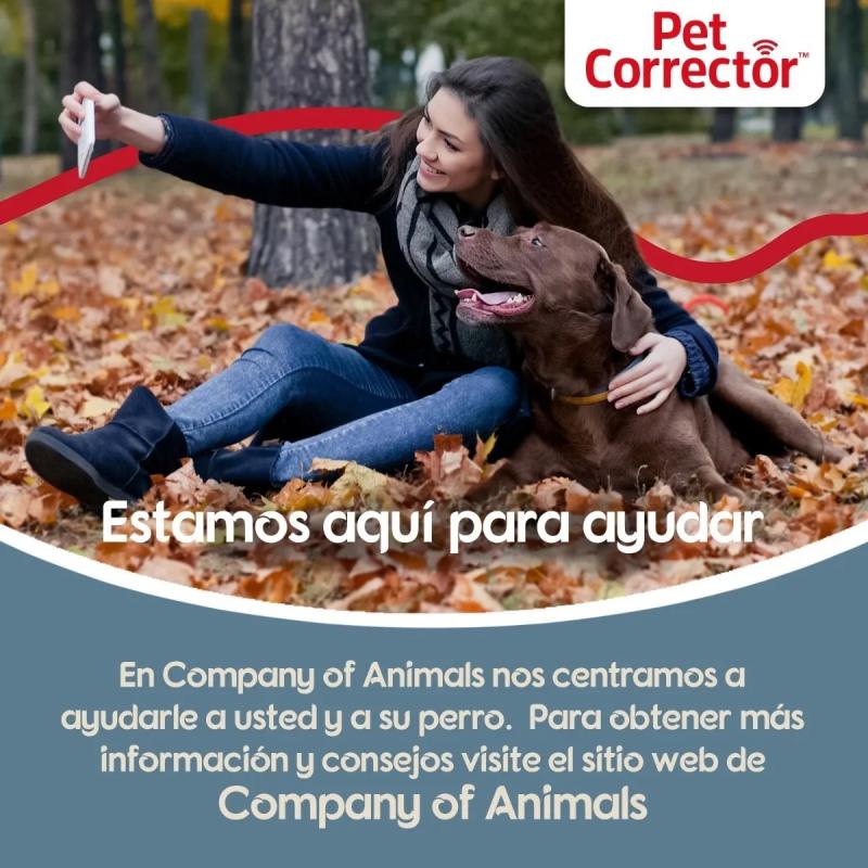 Aerosol Adiestramiento Sonido Gas Pet Corrector 50ml Perros