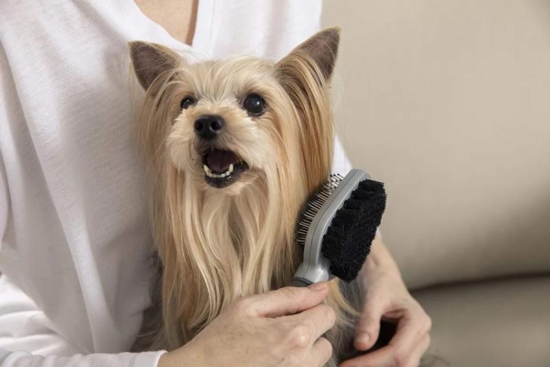 Cepillo Furminator Doble Pines Y Cerdas Perro Gato Mascotas