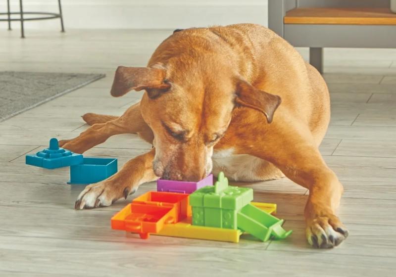 Juego Interactivo Premios Brightkins Regalos Perros Mascotas