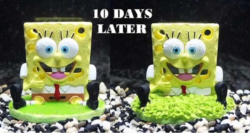 Adorno Decorativo De Resina Bob Esponja Aqua-flora Acuario