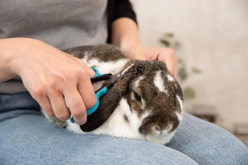 Tijeras Corta Pelo De Aseo Trixie Para Mascotas Perro Gato