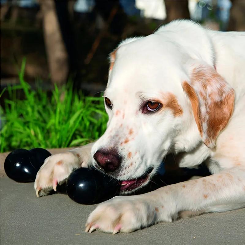 Juguete Hueso Rellenable Goodie Extreme Large Kong Perros