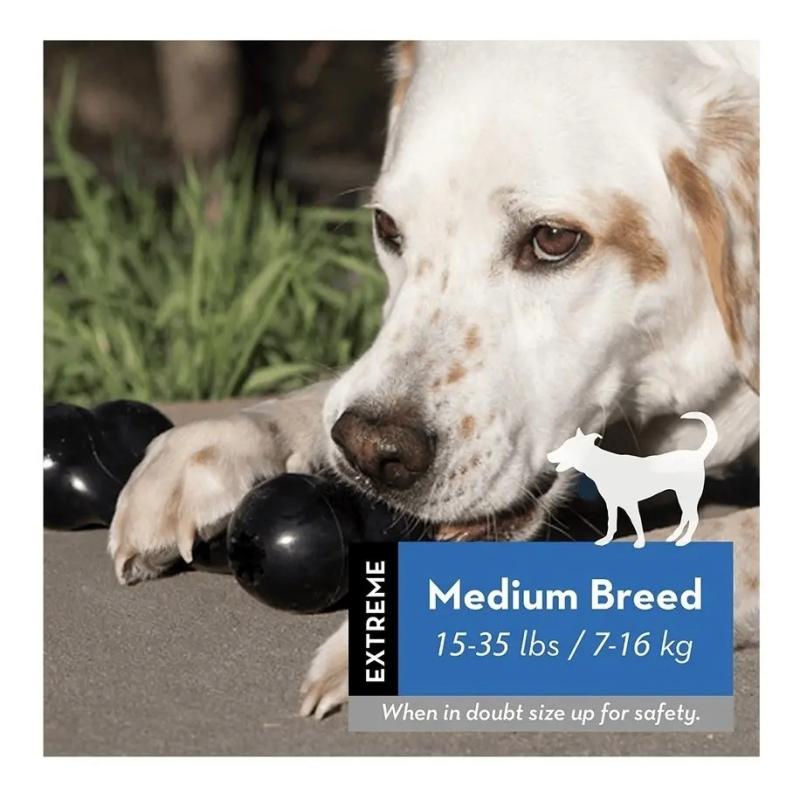 Juguete Hueso Rellenable Goodie Extreme Medium Kong Perros