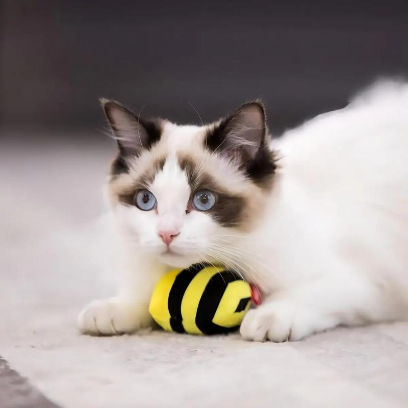 Juguete Para Gato Peluche Abeja C/ Catnip Vibrante Gigwi
