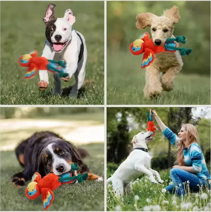 Juguete Peluche Loro Cuerda Con Crunch Y Chifle Afp Perros Naranja Loro