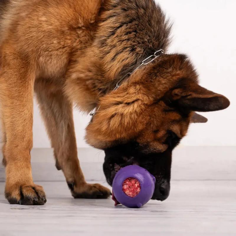 Juguete Rellenable Perro Grande Glotoni Soft Xl Tonipets