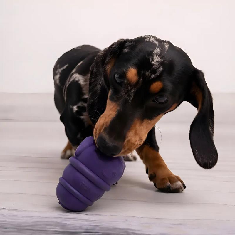 Juguete Rellenable Perro Chico Glotoni Soft S Tonipets Violeta