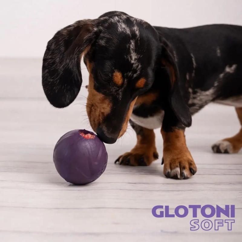 Pelota Interactiva Rellenable Soft Resistente Tonipets Perro