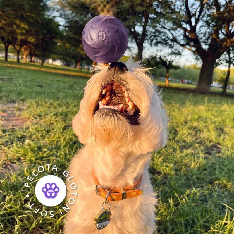 Pelota Interactiva Rellenable Soft Resistente Tonipets Perro