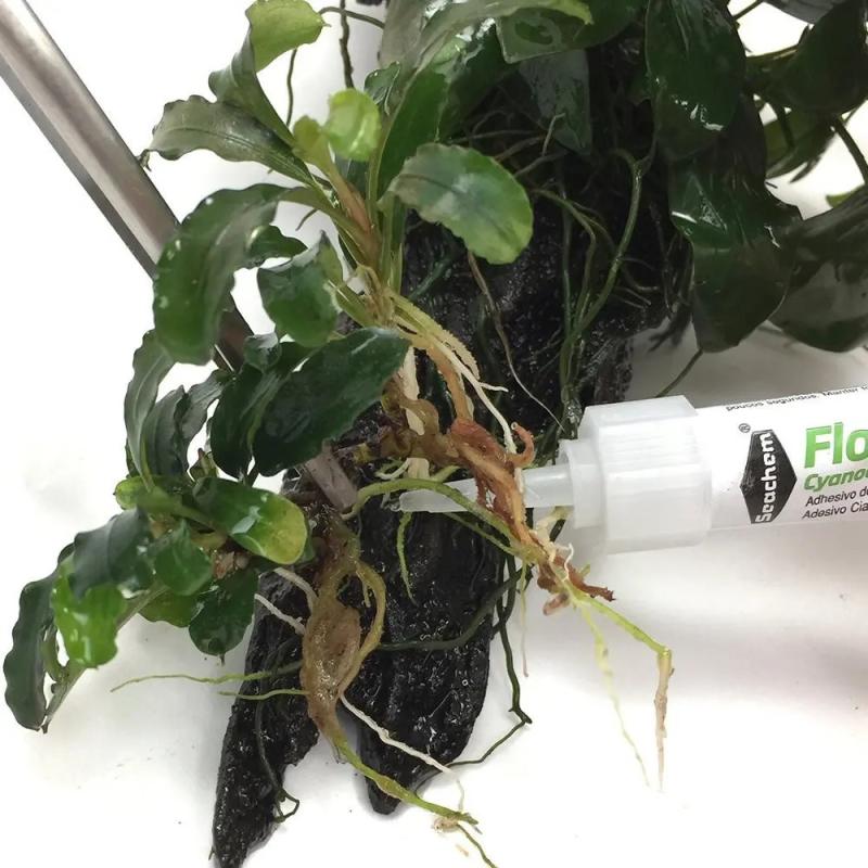 Pegamento Adhesivo Flourish Glue 8g Seachem Plantas Musgos