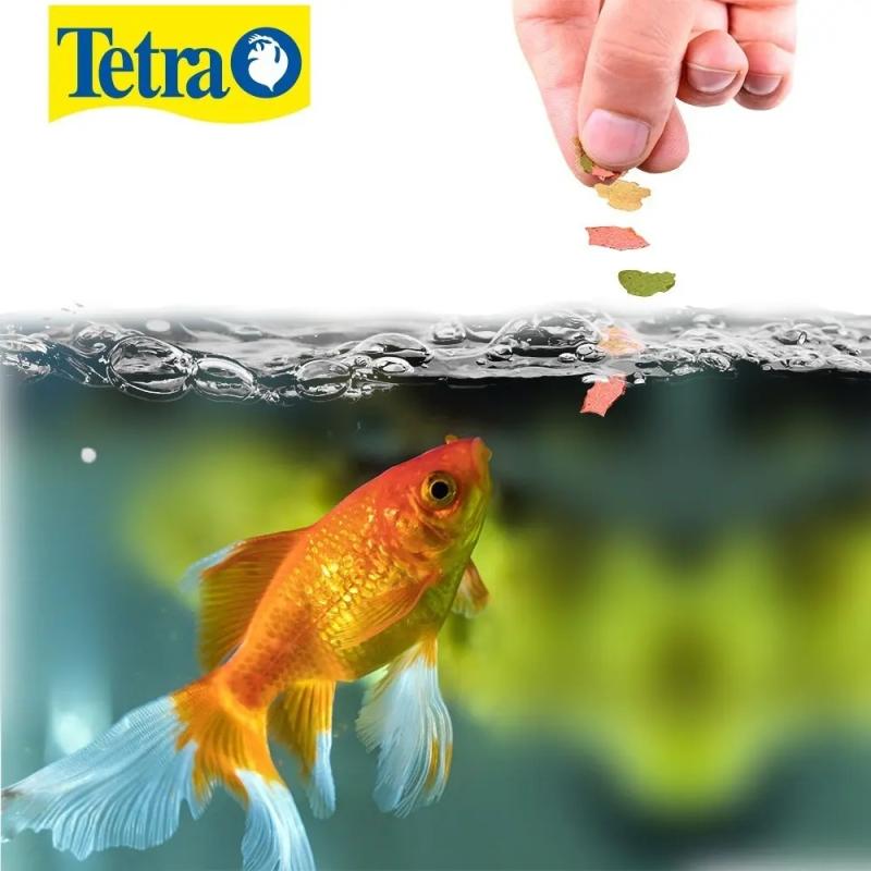 Alimento Para Peces Goldfish Flakes 200gr Tetra Acuario