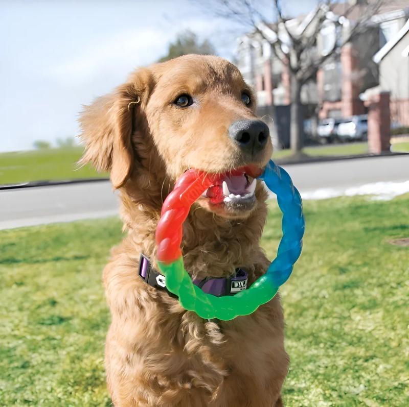 Juguete Para Perros Aro Twistz Ring Small Kong Perro Mascota