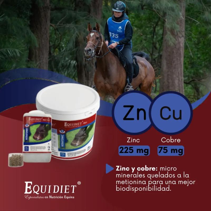 Suplemento Para Los Cascos Caballos Equidiet Keratonic 3kg