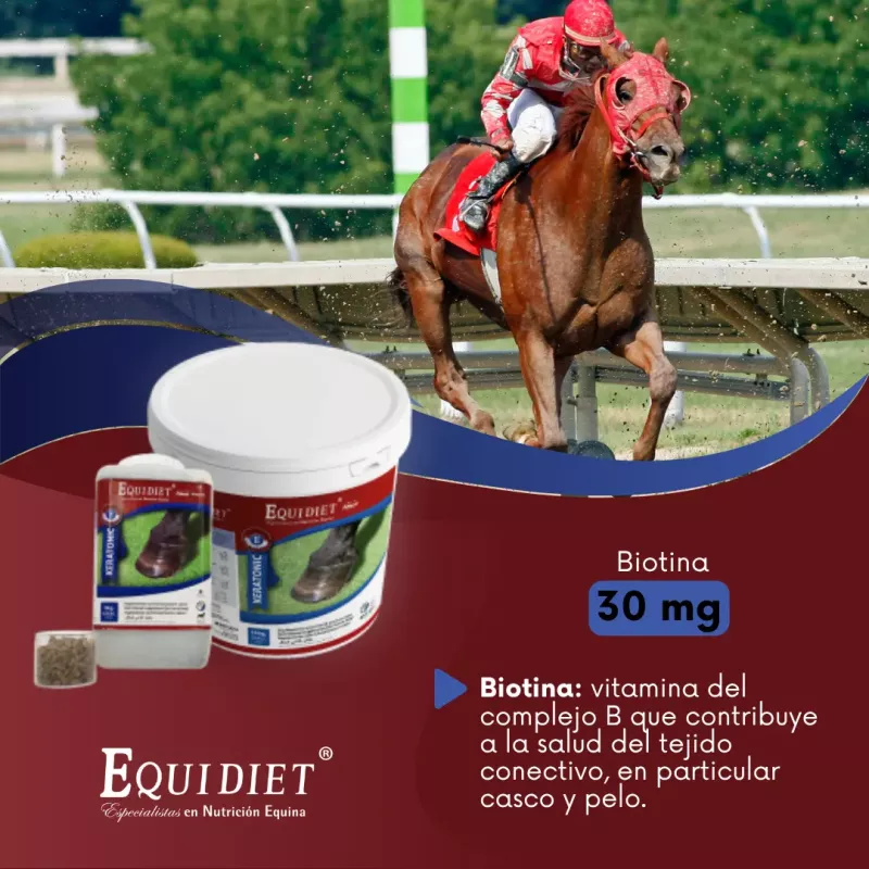 Suplemento Para Los Cascos Caballos, Equidiet Keratonic 10kg