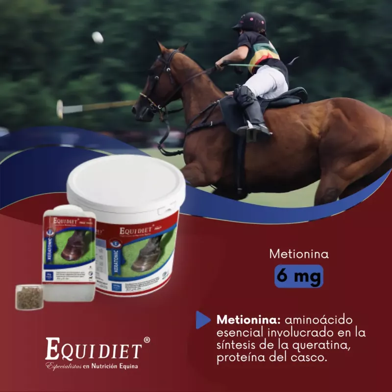 Suplemento Para Los Cascos Caballos, Equidiet Keratonic 10kg