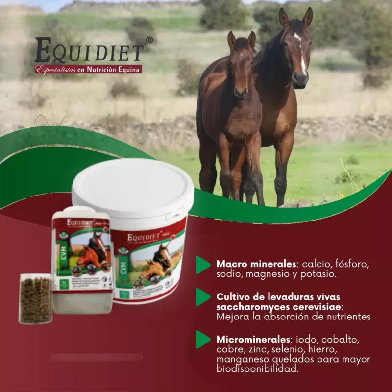 Vitaminas Minerales Probioticos Caballos Equidiet Cvm 3 Kg
