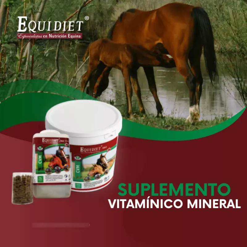 Equidiet Cvm 10kg Vitaminas Minerales Probioticos Caballos