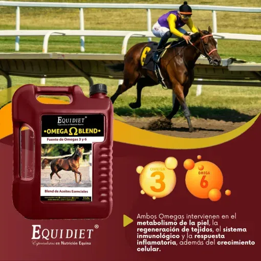 Aceite Esencial Omega Blend Equidiet Chía Canola 5L Caballos