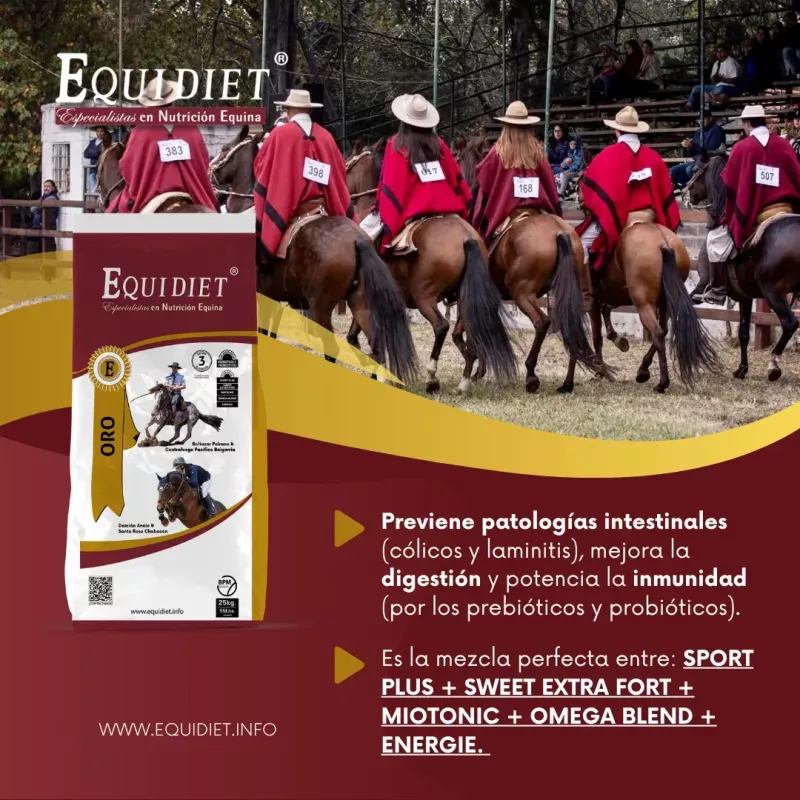 Alimento Para Caballos Equidiet Oro 25kg Suplemento Granulado