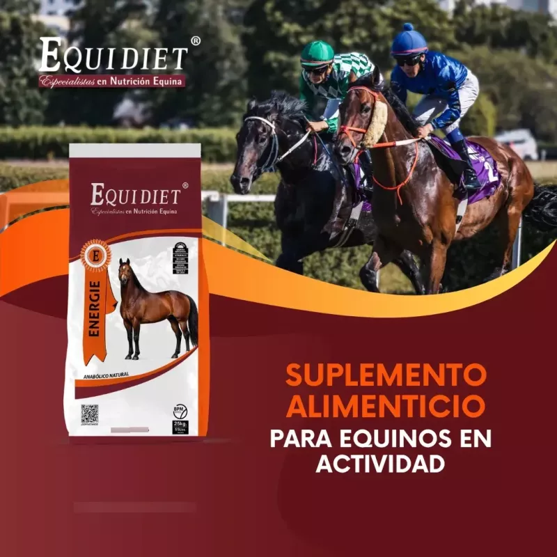 Suplemento Para Pre-training, Caballos Equidiet Energie 25kg