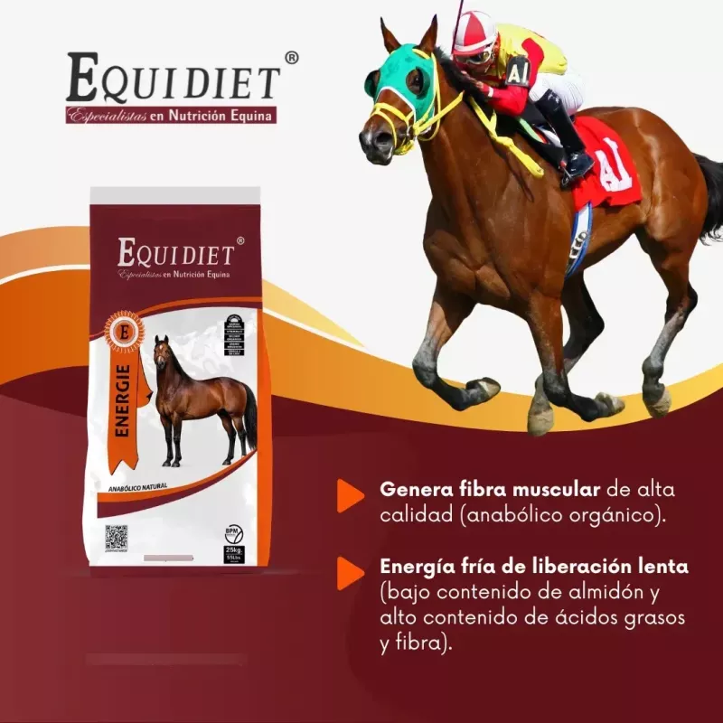 Suplemento Para Pre-training, Caballos Equidiet Energie 25kg