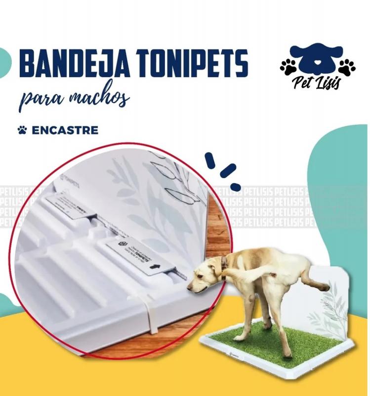 Bandeja Sanitaria Grande Tonipets C/acc Perros Mascotas