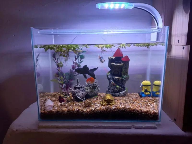 Luz Led Iluminador Ktm-318 12w 3 Tonos Kintons Acuario Peces