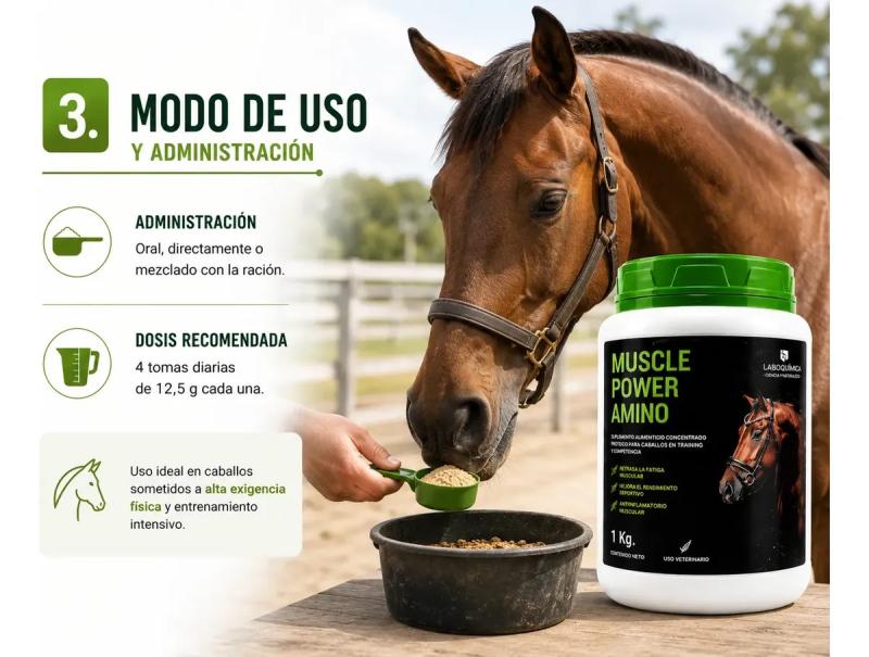 Suplemento Aminoácidos Muscle Power 1kg Laboquimica Equinos