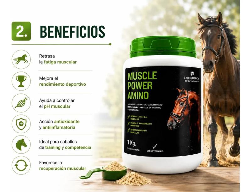 Suplemento Aminoácidos Muscle Power 1kg Laboquimica Equinos