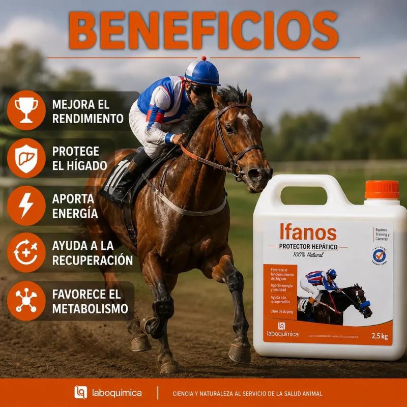 Suplemento Hepatico Ifanos 2.5kg Laboquimica Equinos Caballo