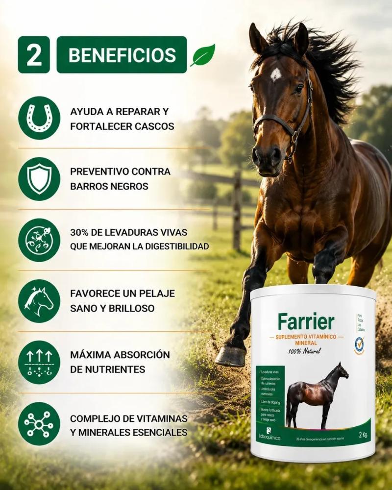 Suplemento Para Cascos/pelaje Farrier 2kg Laboquimica Equino
