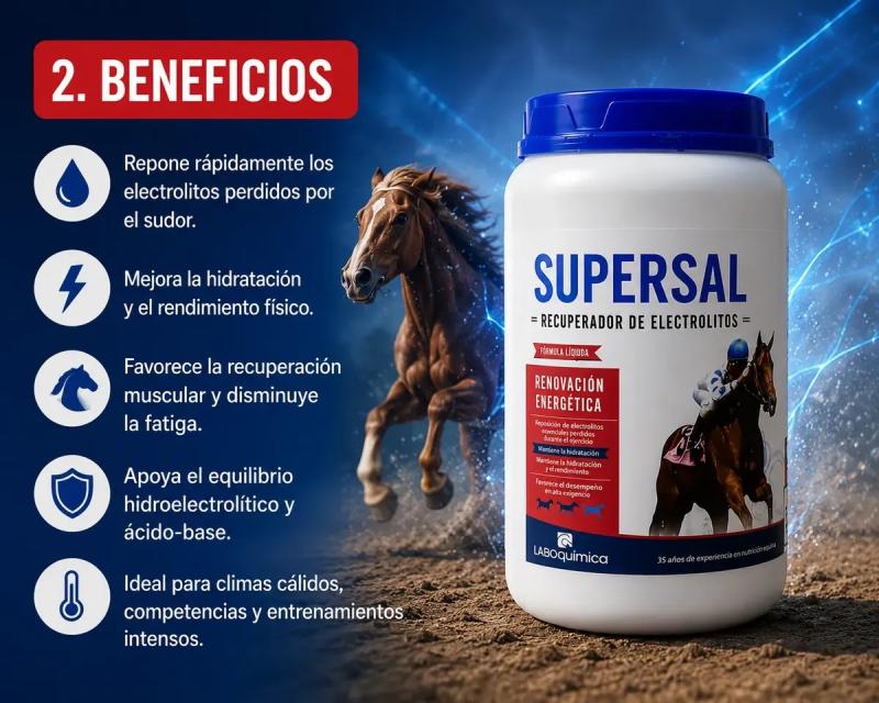 Suplemento Electrolitos Super Sal 3kg Laboquimica Equinos