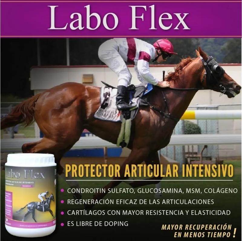 Suplemento Articular Labo Flex 900gr Laboquimica Equinos