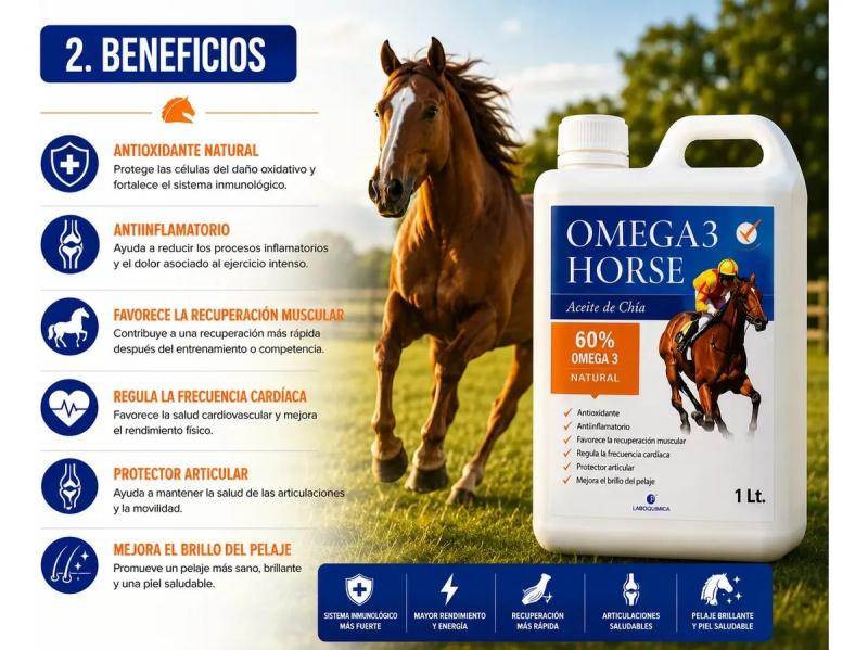Suplemento Antiinflamatorio Omega 3 Horse 1lt Laboquimica