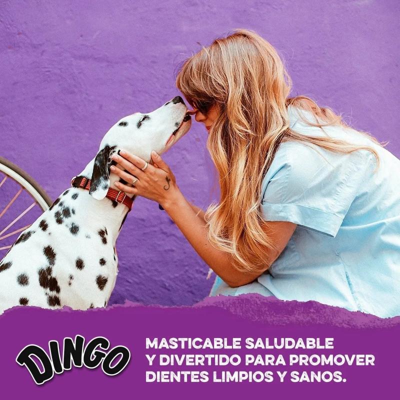 Hueso Snack Golosina Dingo Large Pollo 90gr Para Perros Mascotas