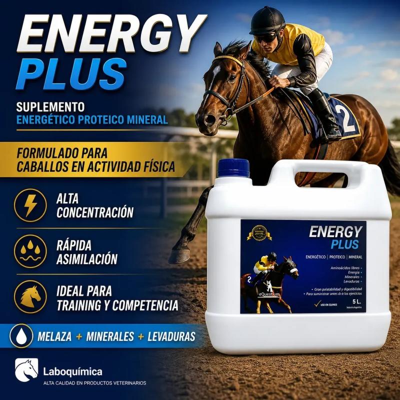 Suplemento Proteico Energy Plus 5lt Laboquimica Equinos