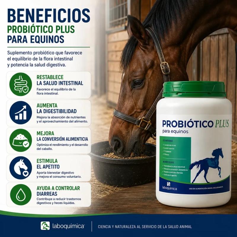 Suplemento Probiótico Plus 1kg Laboquimica Equinos Caballos