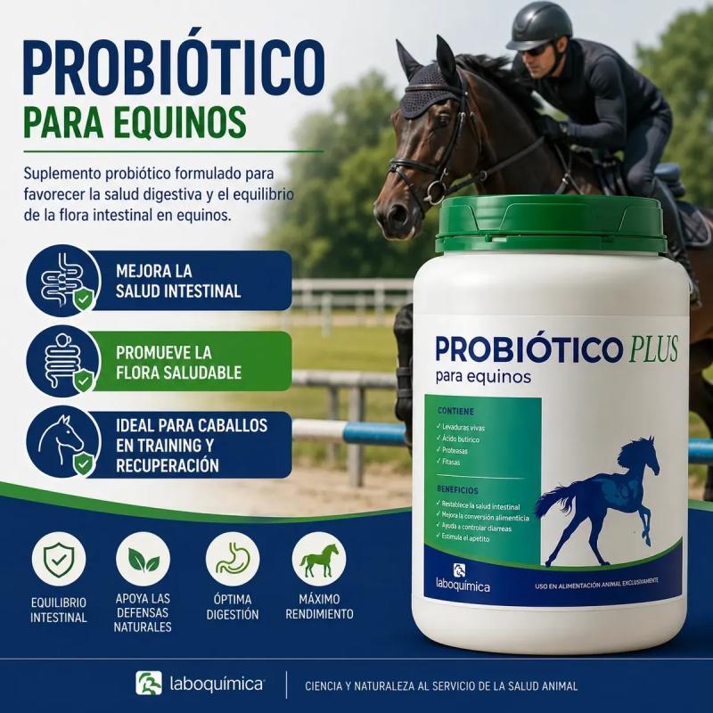 Suplemento Probiótico Plus 1kg Laboquimica Equinos Caballos