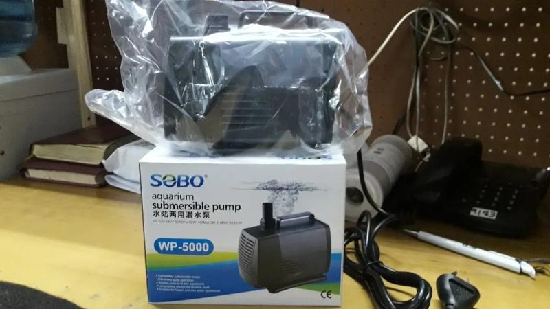 Bomba De Agua Sumergible Wp-5000 3000l/h 3m 60w Sobo Acuario