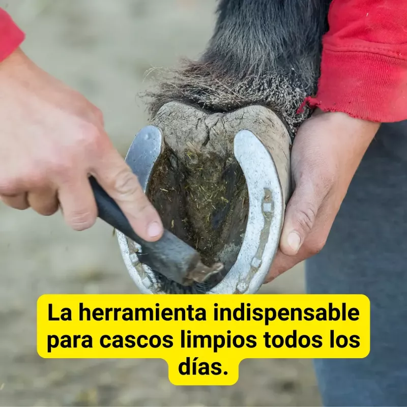Rascavasos Con Cepillo Para Limpiar Cascos Vasos De Caballo