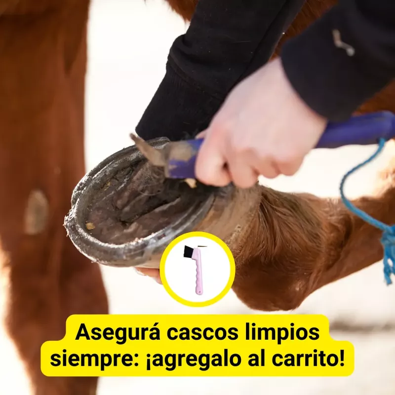 Rascavasos Con Cepillo Para Limpiar Cascos Vasos De Caballo