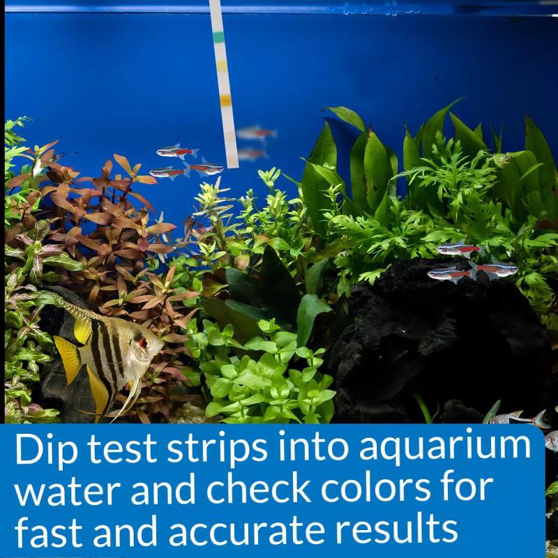 Test 5 En 1 Api 100 Tiras Ph Kh Gh No3 No2 Pecera Acuario