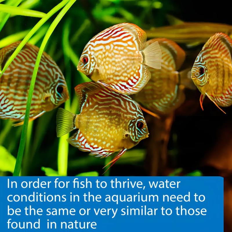 Test 5 En 1 Api 100 Tiras Ph Kh Gh No3 No2 Pecera Acuario