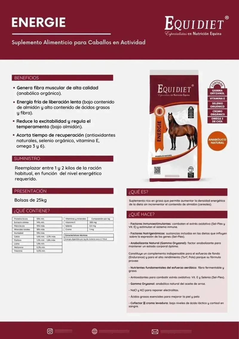 Sumplemento Alimento Proteinas Energie 25kg Equidiet Equinos