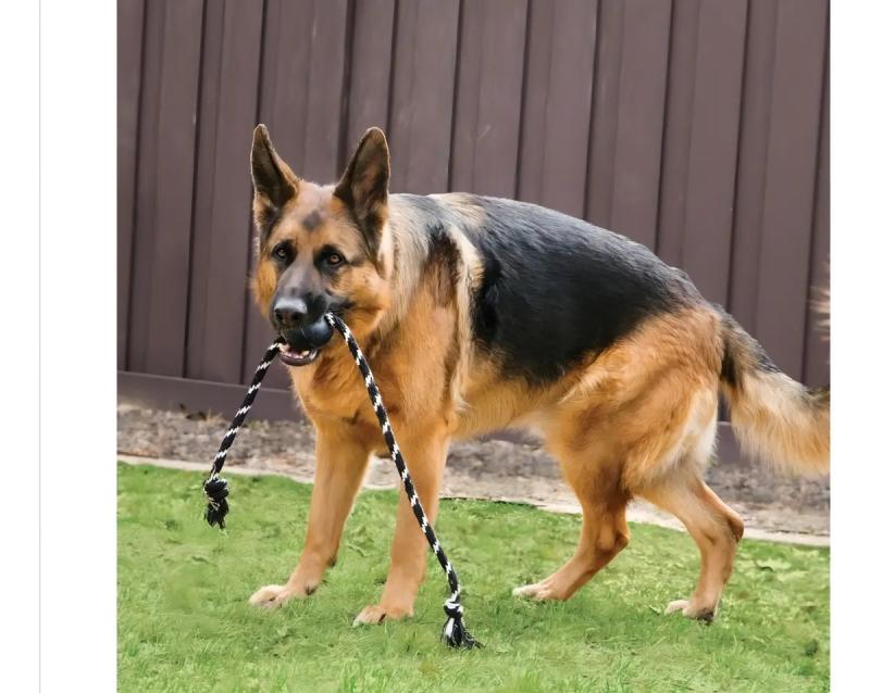 Juguete Pelota Con Soga Extreme Large Kong Perro Mascotas Negro